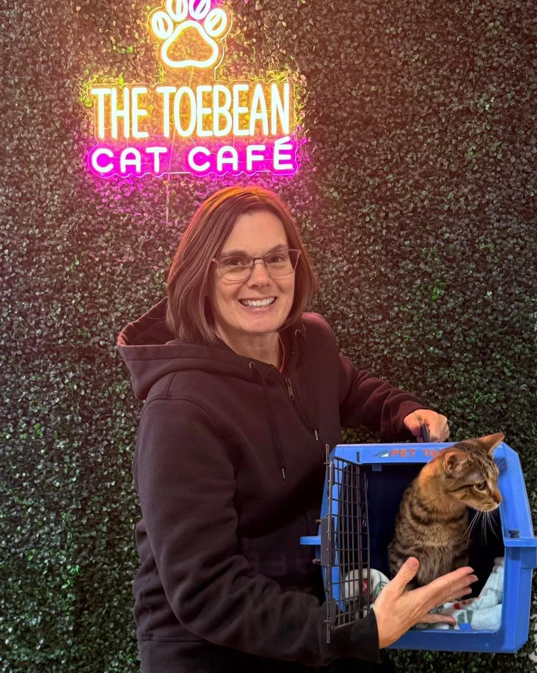 Adoptions #132 &amp; #133 have left the building!

Atticus and Pixie Stix found their forever homes!! We sure will miss these rambunctious guys, but Gizzy will be glad they&rsquo;re gone! 😂