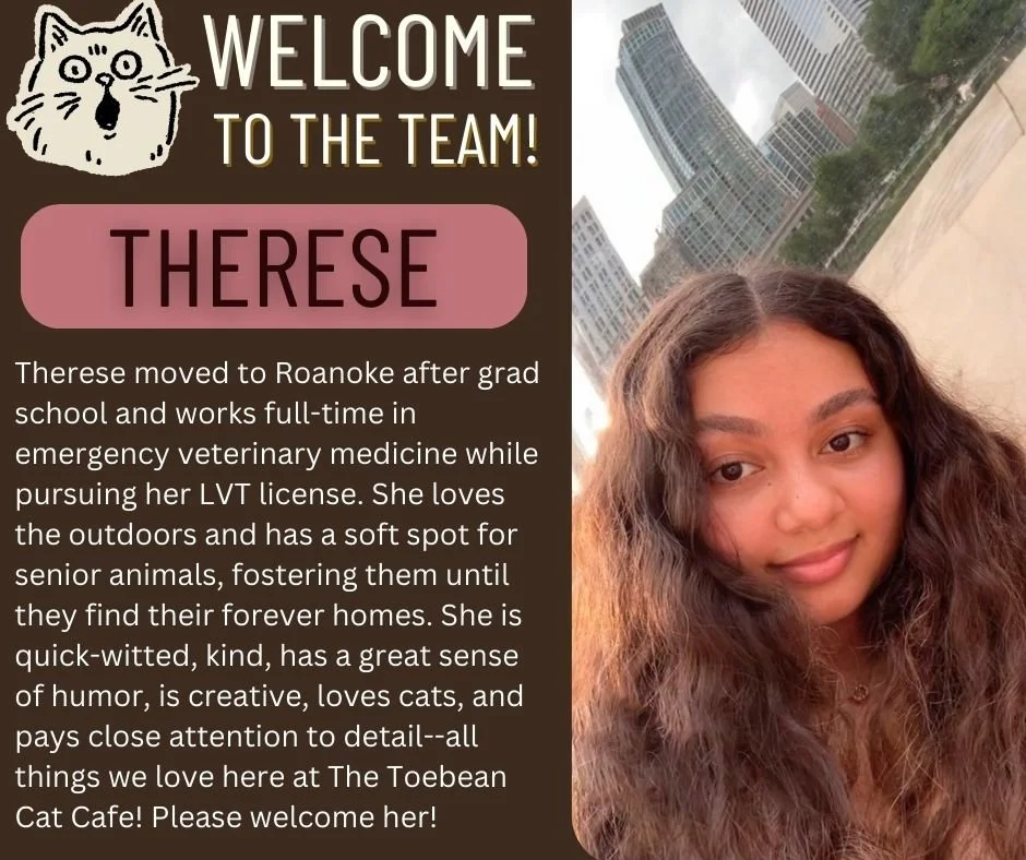 Join us in welcoming our newest Toebean Team Meow-mber! We're excited to have her!