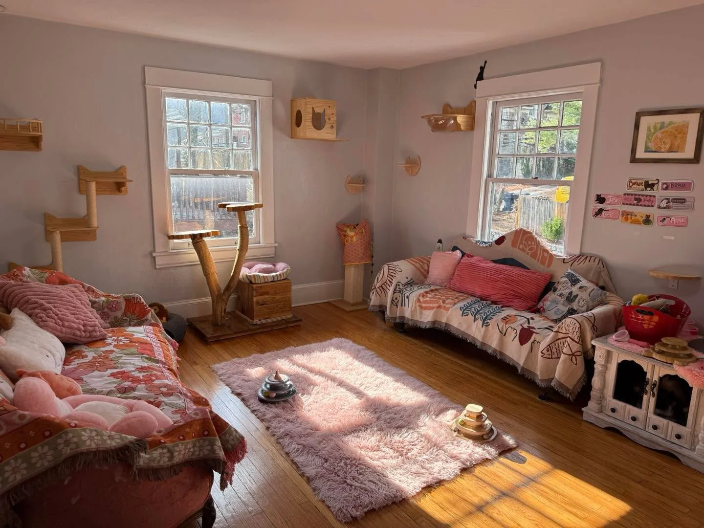 The sun is pouring in through the windows and it&rsquo;s a beautiful day! All the kitties are content, but they&rsquo;d love for you to come and play! 

Book ahead at thetoebeancatcafe.com