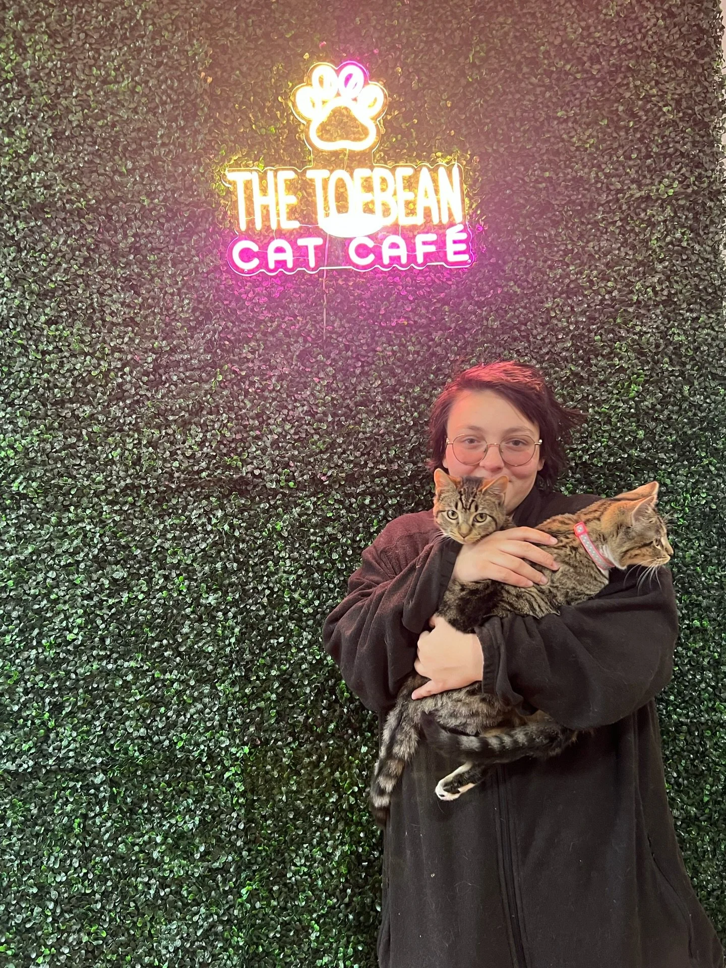 Adoptions #134 &amp; #135! Bank of America and Navy Federal were some absolutely wonderful tripod kittens with a lot of love and personality to share! So happy for them!