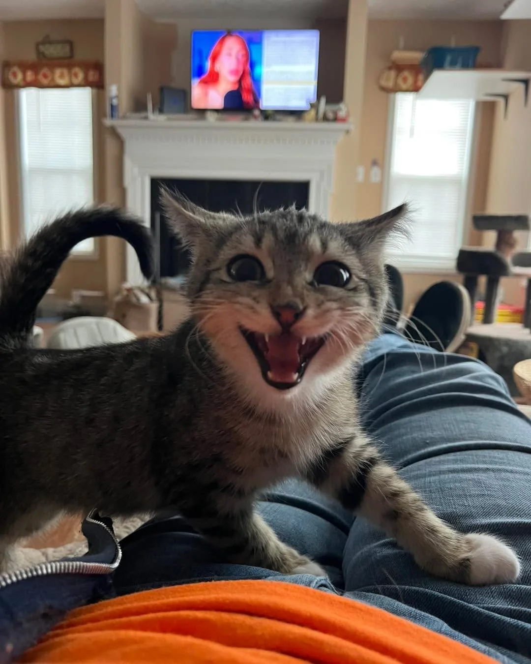Heyyyyyyy!!!! Biscuit is reminding everyone that we are having The Honey Spark at the cafe tomorrow! We&rsquo;re excited for jewelry time! 🍯✨

2pm-5pm in the loft!