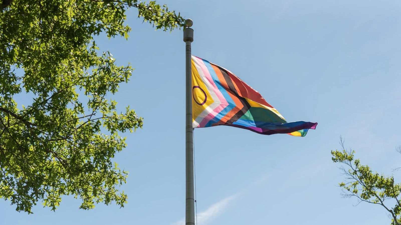 A historic day at our 2026 Wilton Pride Festival