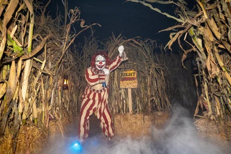 Clown in a Cornfield
