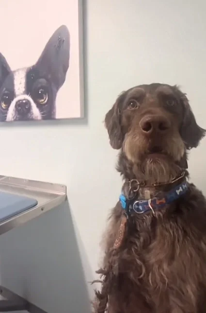 Nash (Blindside Faithful)