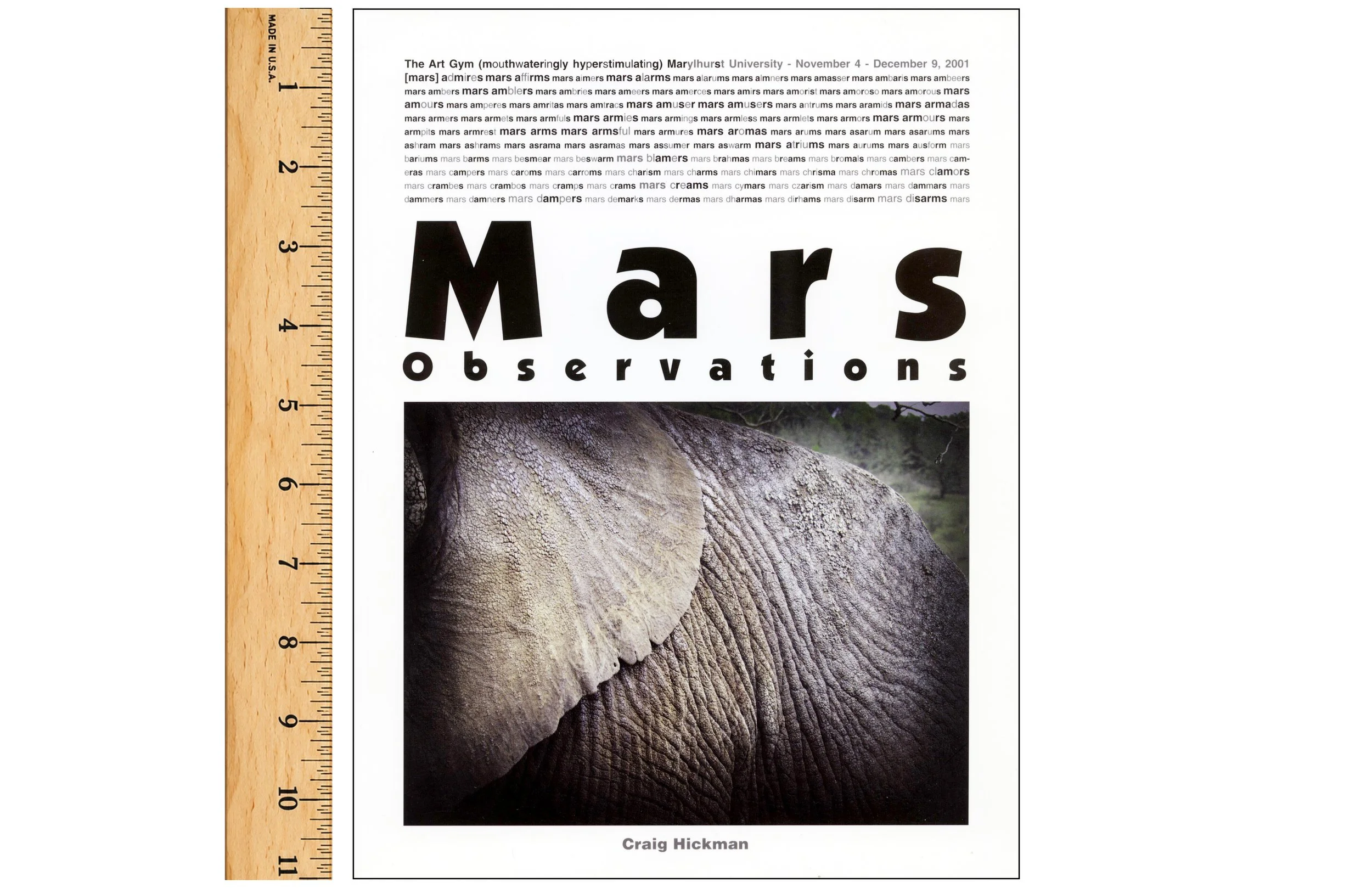 Mars Observations Cover with Ruler.jpg