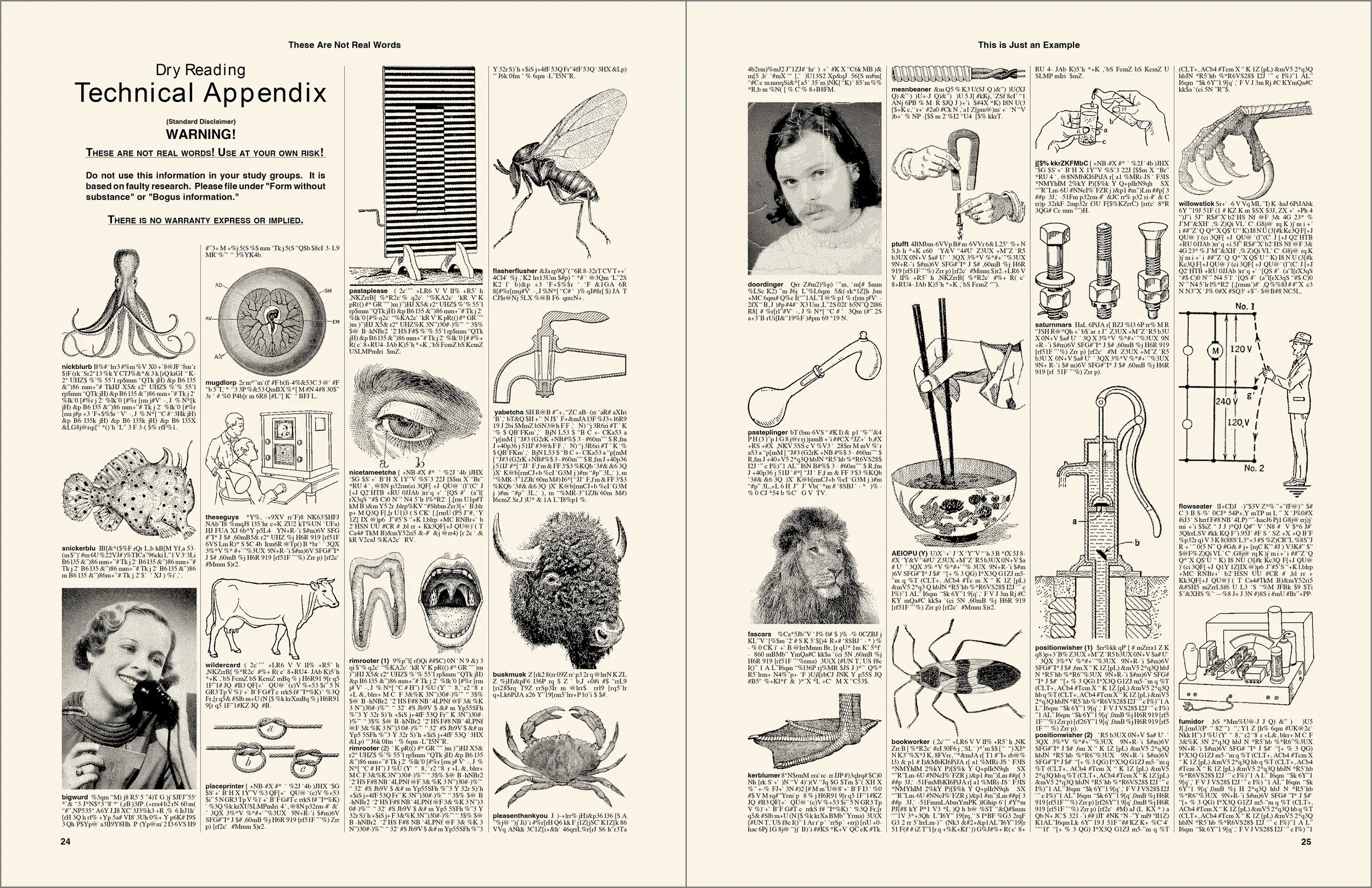 Dry Reading 13 (18-19).jpg