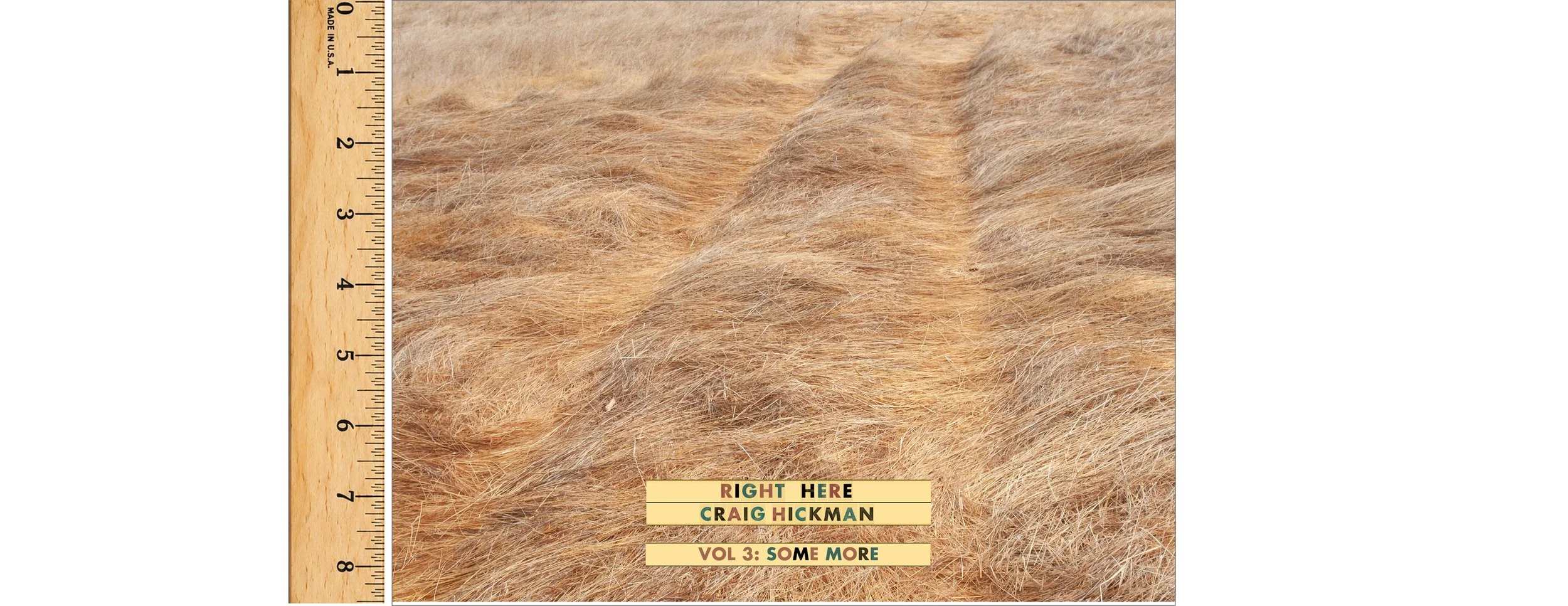 Right Here 1 (Cover) with Ruler.jpg