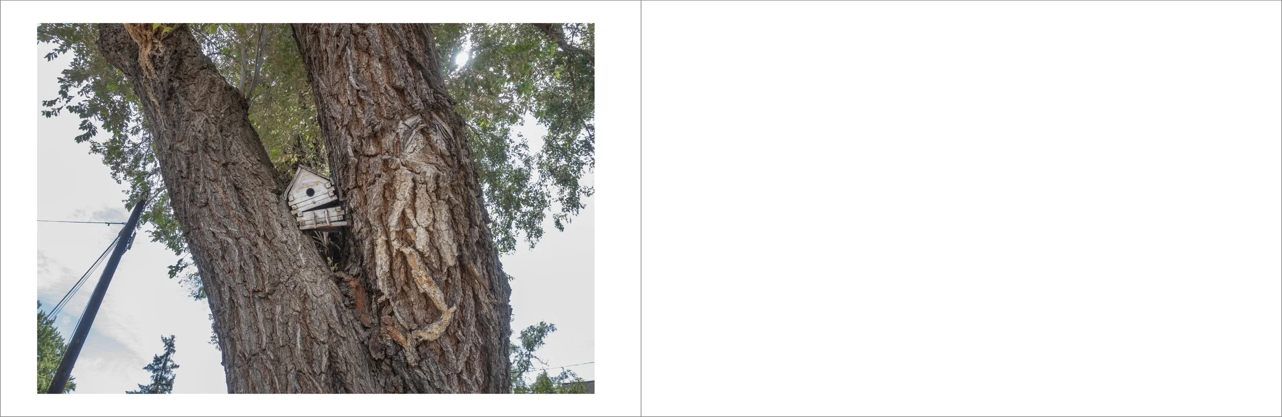 Right Here:Structures 37 (70-71).jpg