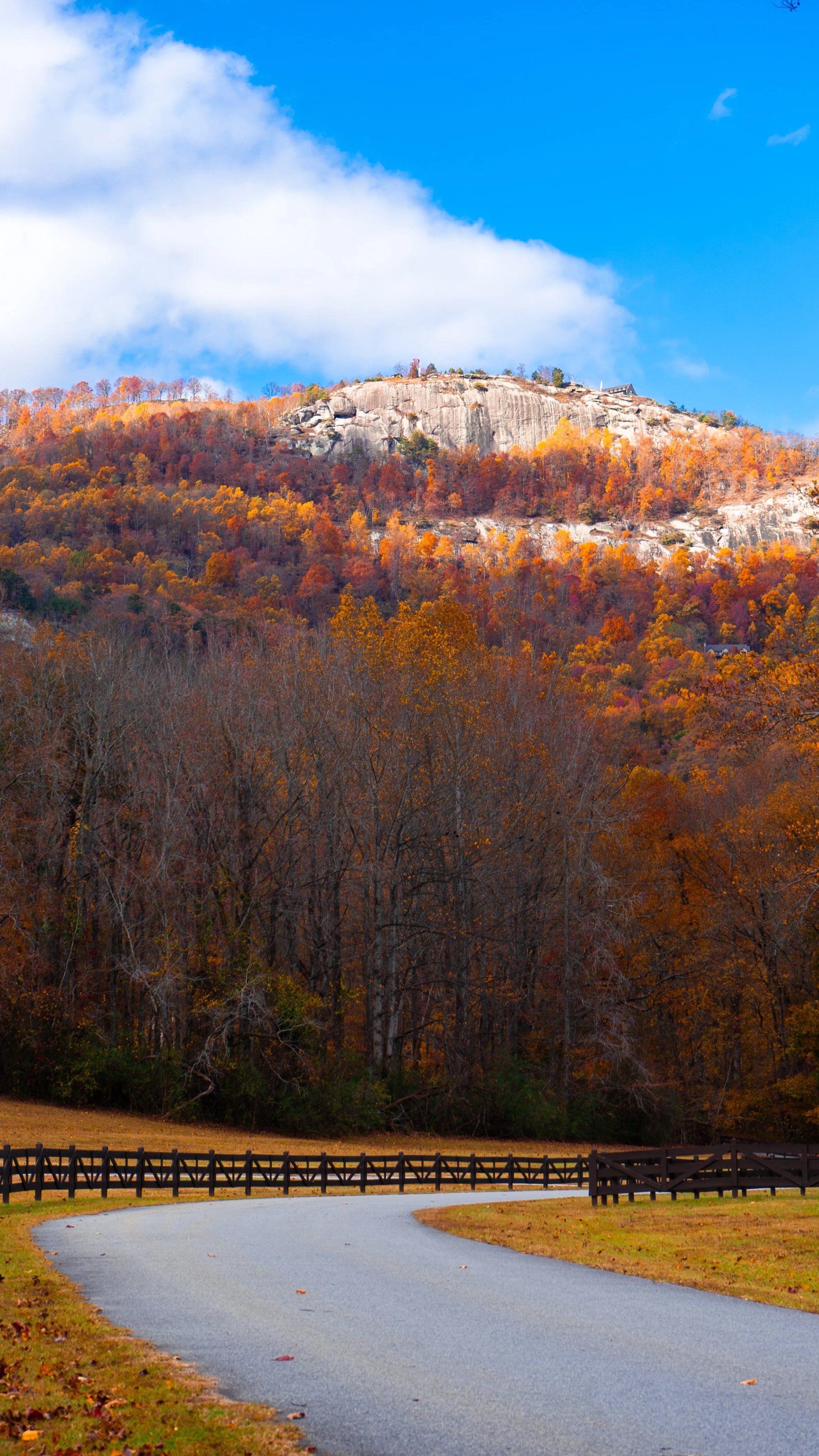 A winding road with a wooden fence on each side, running through an autumn landscape of trees with orange and yellow leaves, with a rocky hill and sky in the background.