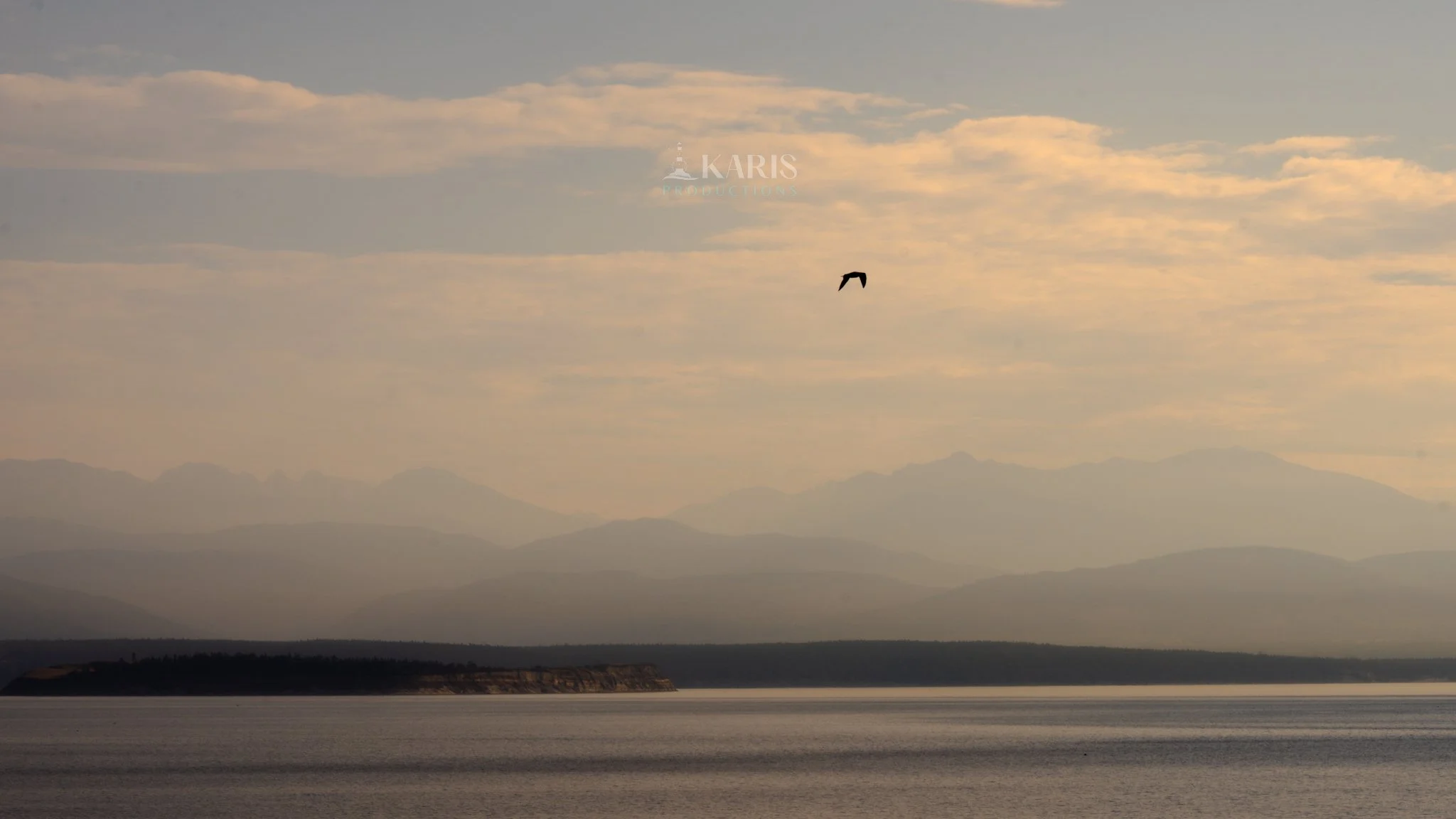 A bird flying in a sky with light clouds over a landscape with mountains in the distance, a body of water, and land with cliffs.