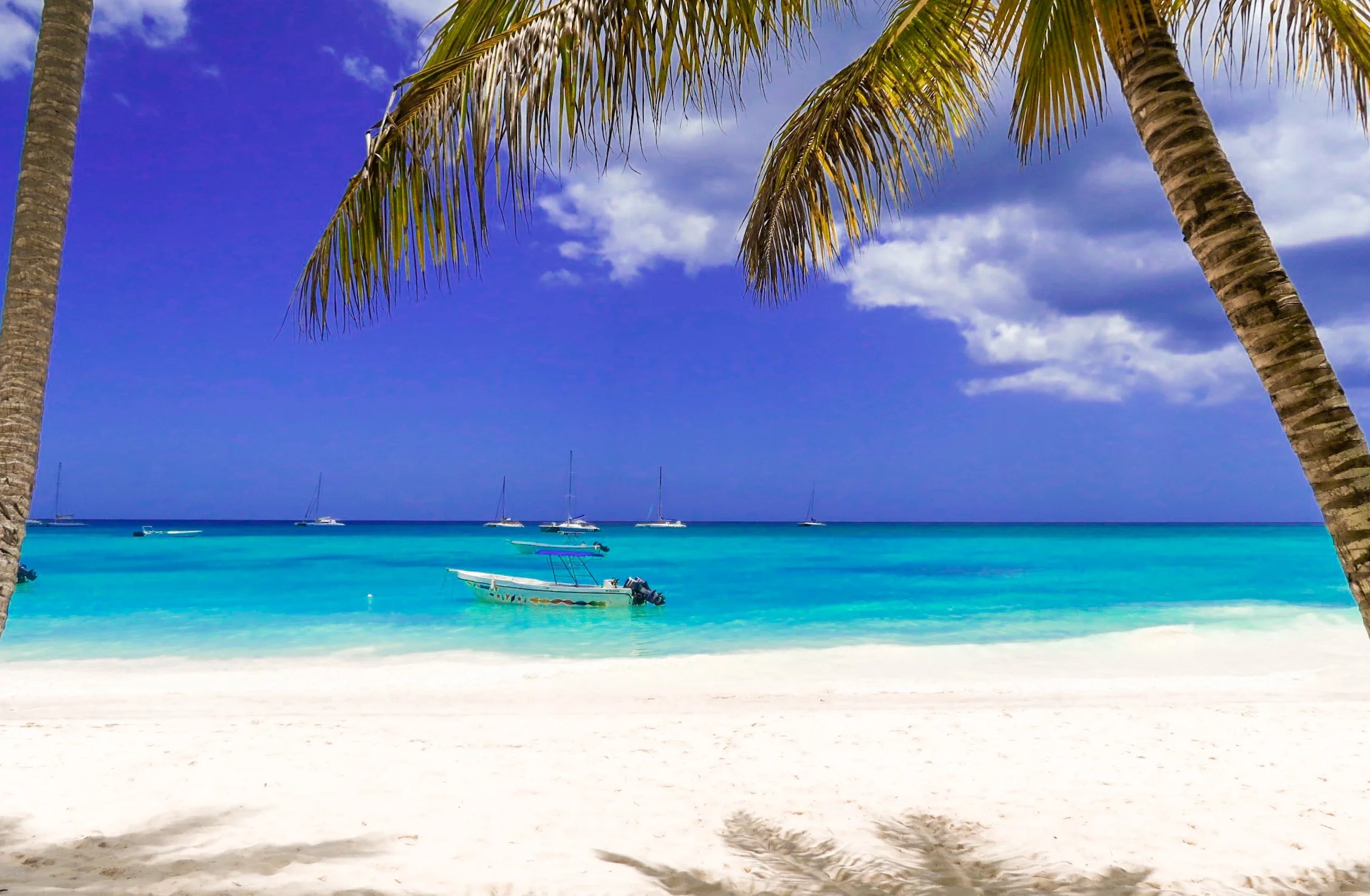 A tropical beach scene with palm trees, clear blue water, and several boats anchored near the shore.