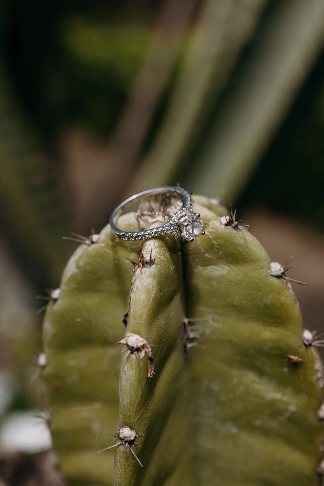 fotografos-bodas-Ecuador-Ayampe-3.jpg