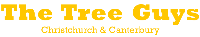 The Tree Guys Christchurch &amp; Canterbury
