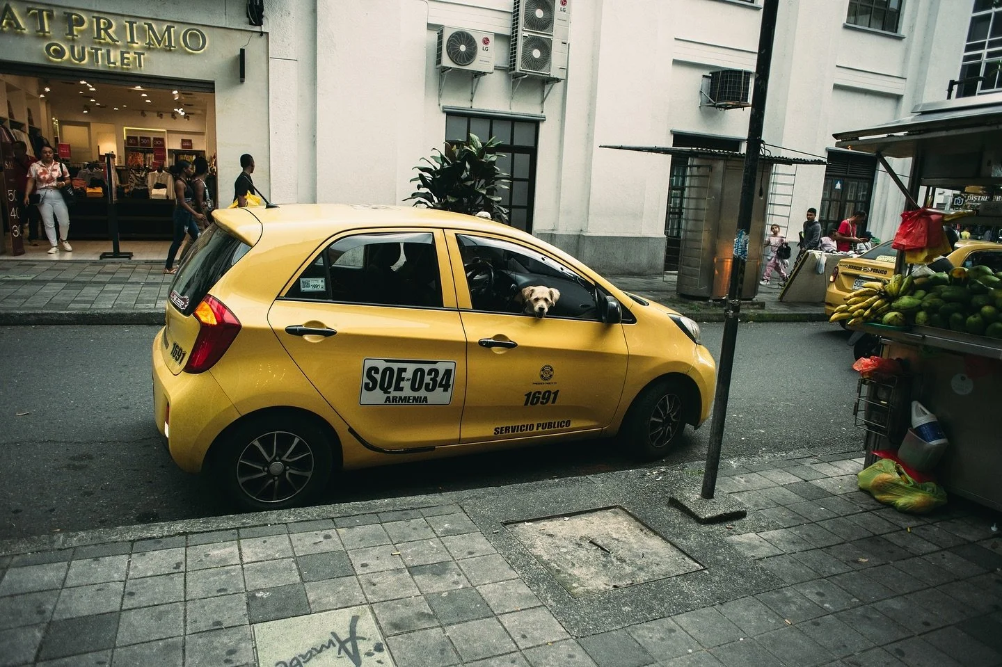 De paso por Armenia Quindio
🚕🐶! 
@thestreetvoices