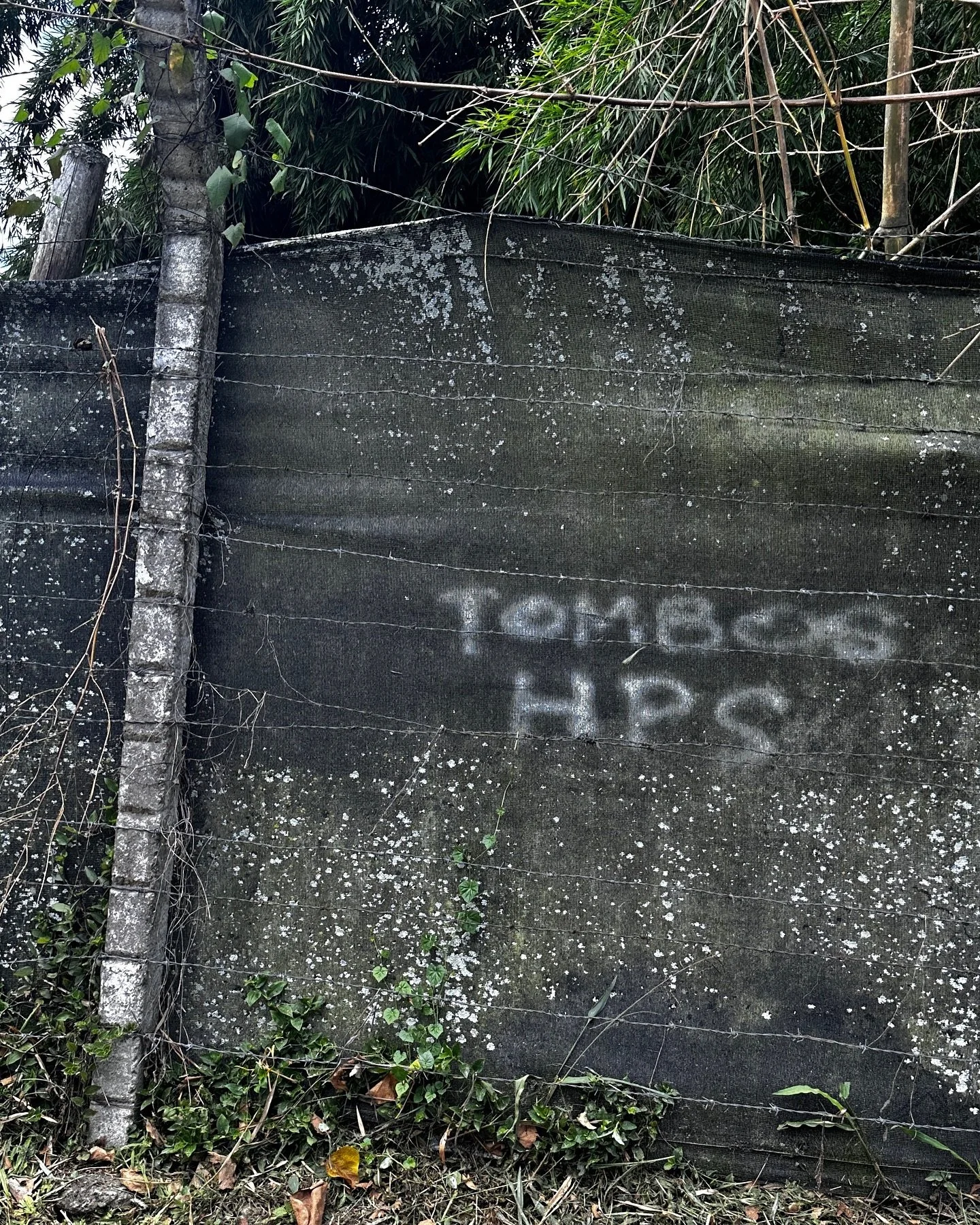 Accion Poetica  #thestreetvoices #streetvoices