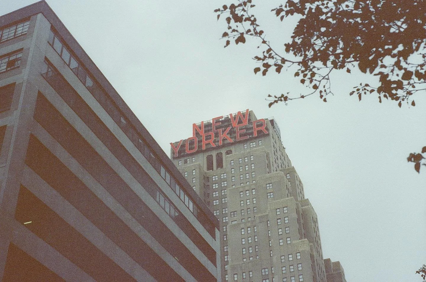 NEW YORKER / Manhattan, New York
Shot on film
#leica #leicaiiia #barnack

📷🎞️ @felipeespinal