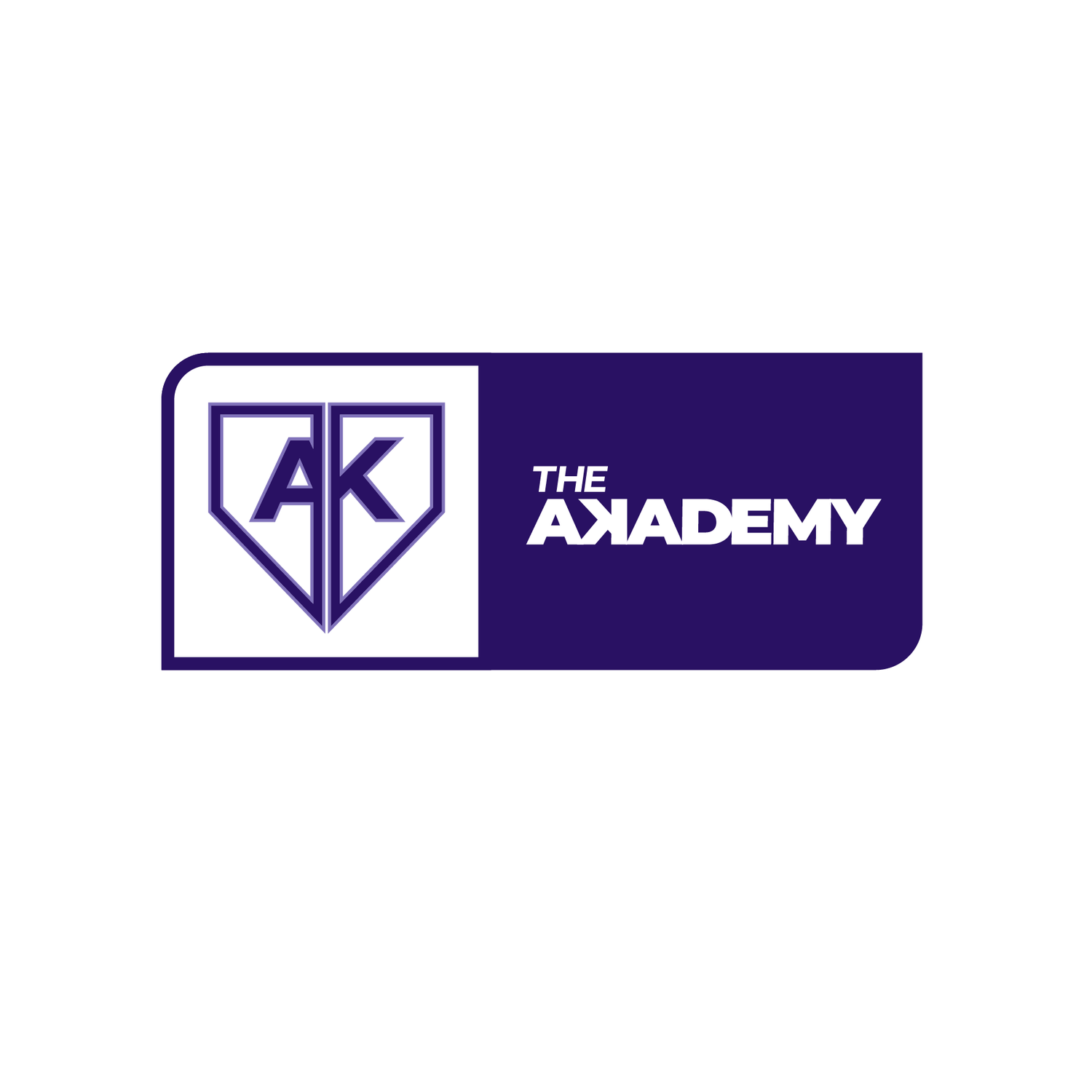 theakademy.com