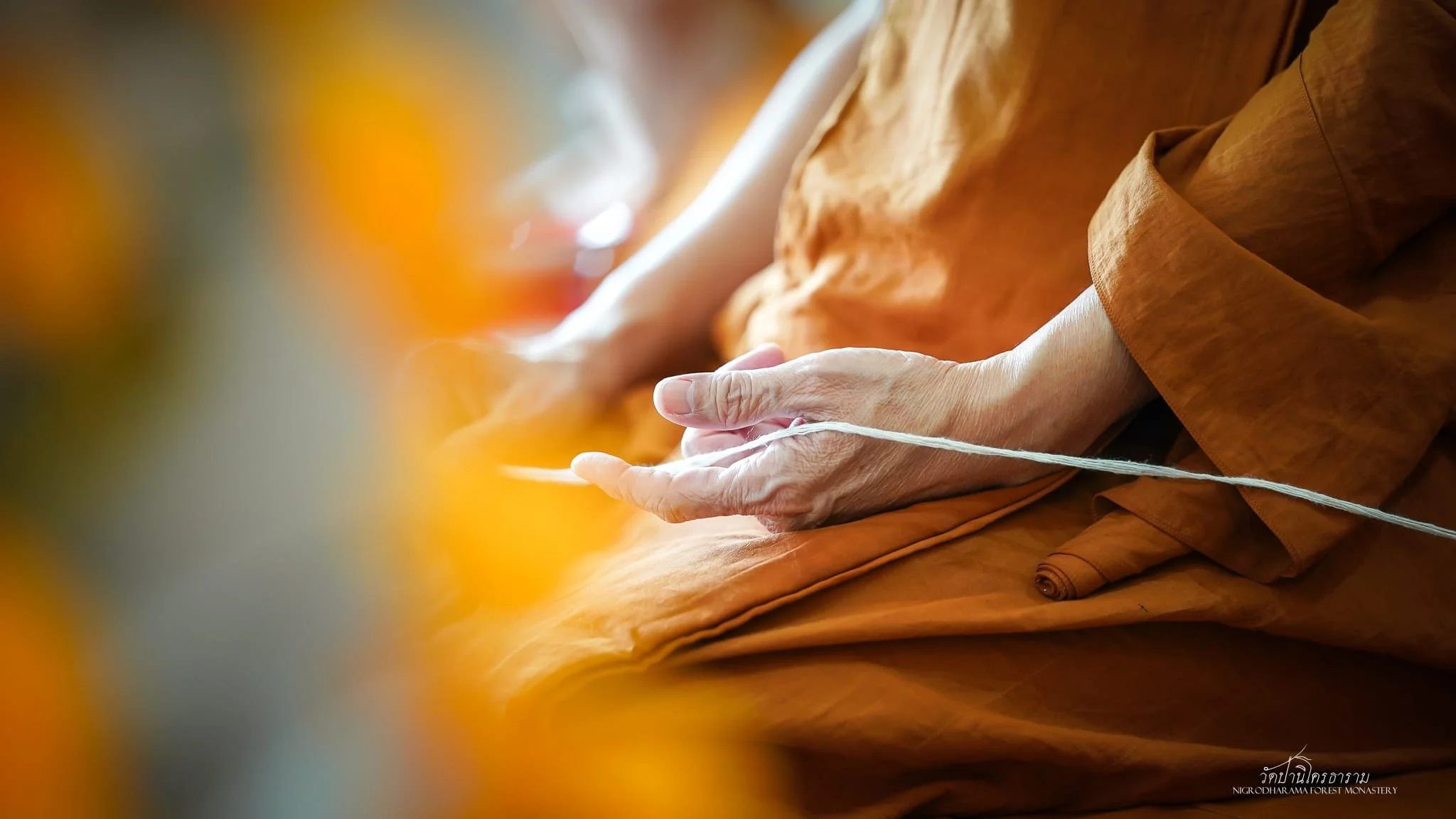 Tan Ajahn Dtun's Vist to Nigrodharama March-April 2026