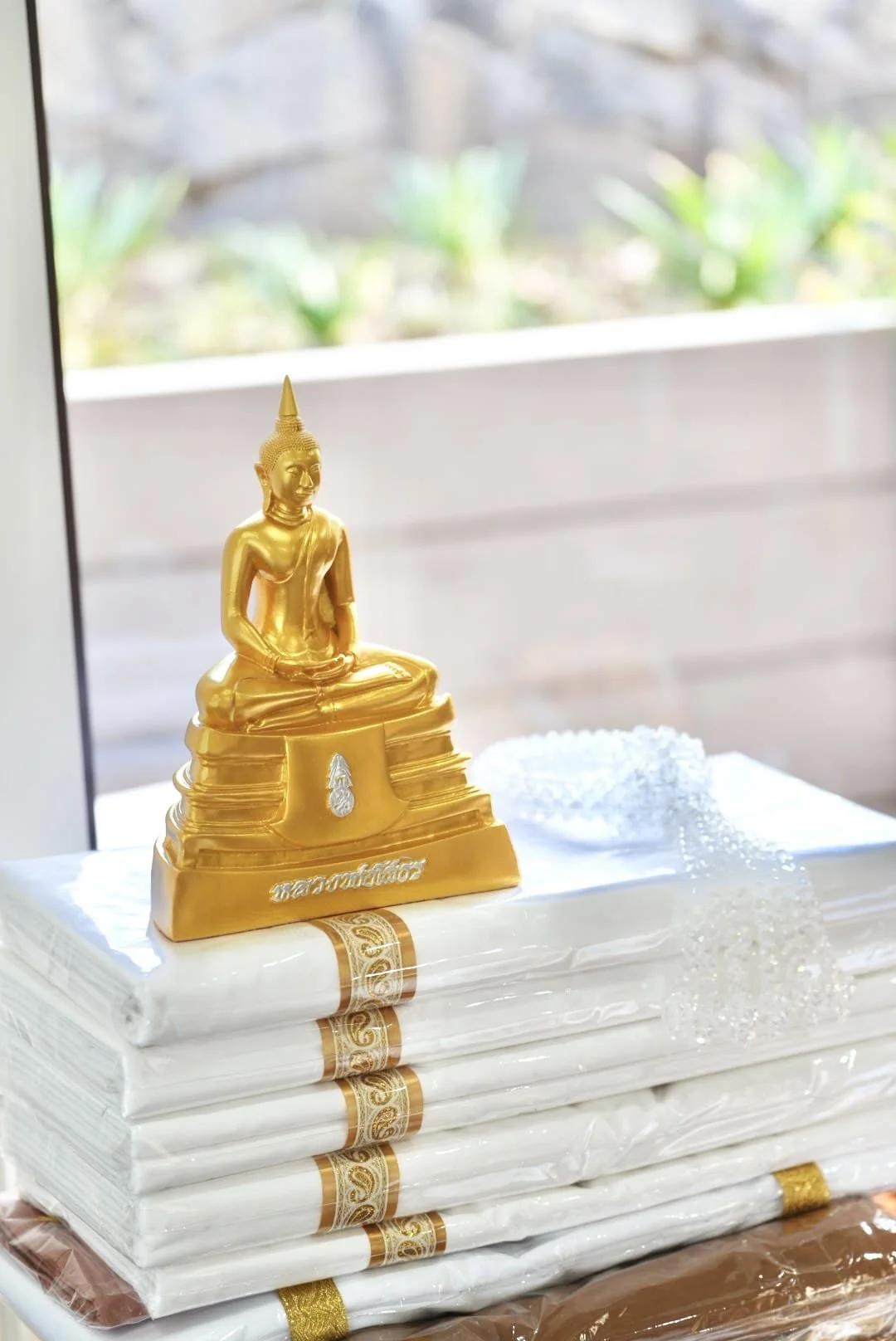 Tan Ajahn Dtun's Vist to Nigrodharama March-April 2026