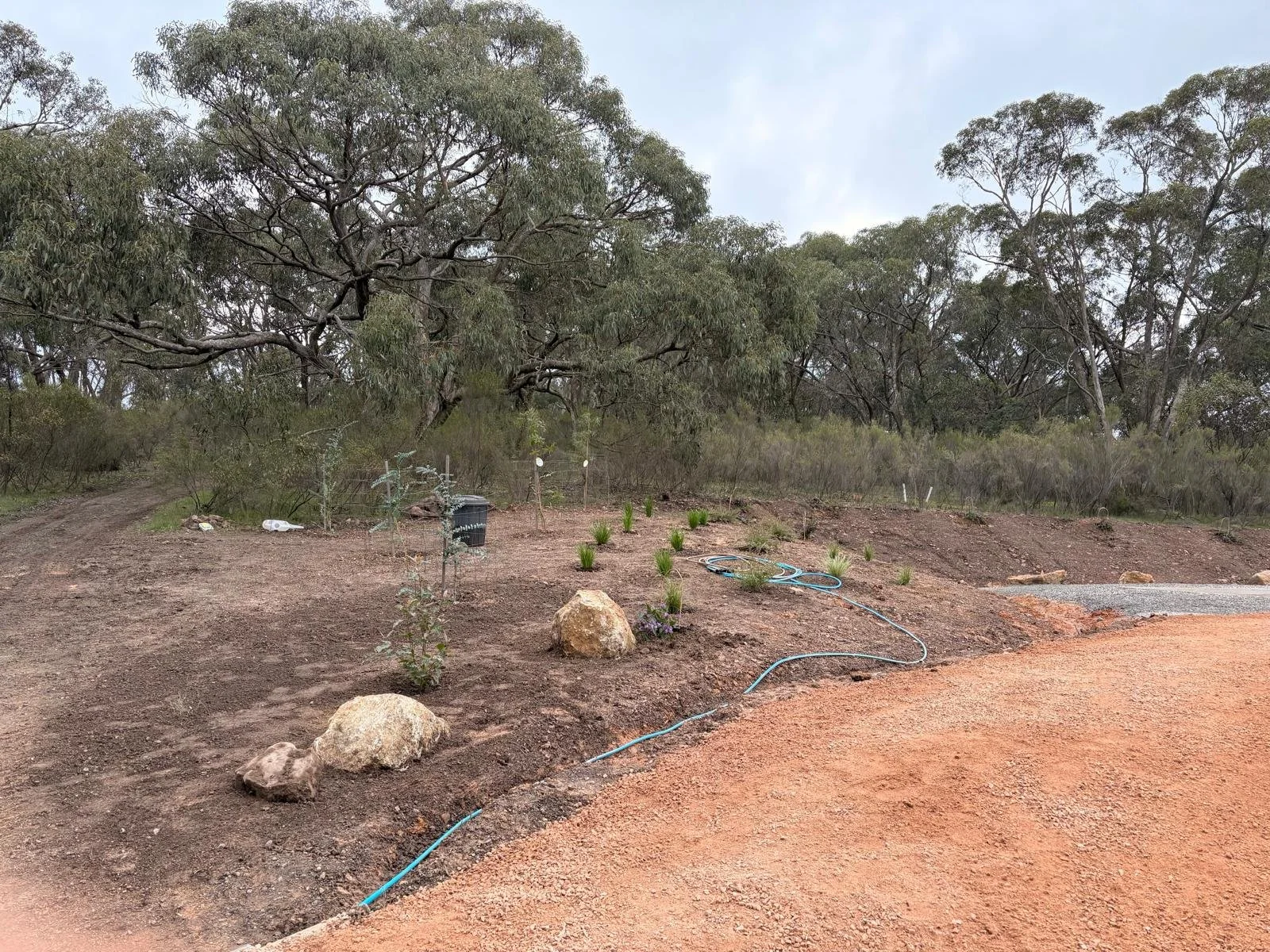 Planting the garden for Tan Ajahn Dtun's new kuti  2026