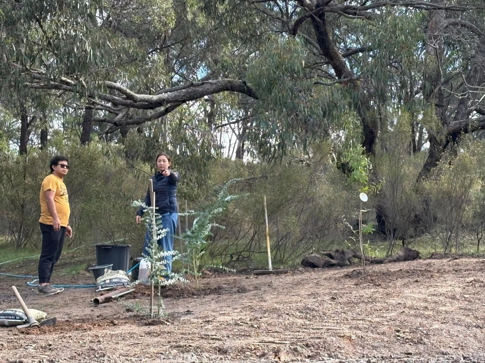 Planting the garden for Tan Ajahn Dtun's new kuti  2026