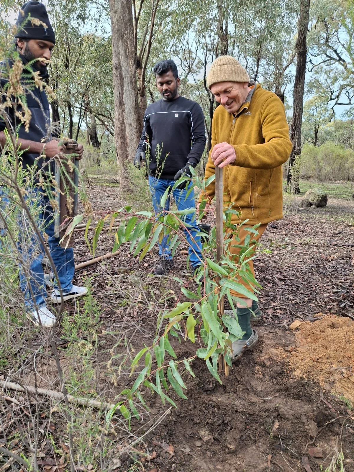 Planting the garden for Tan Ajahn Dtun's new kuti  2026