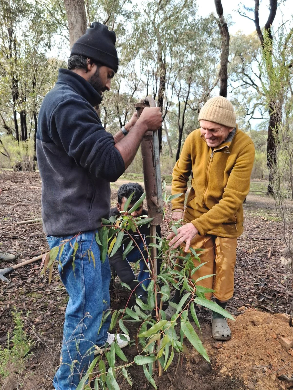 Planting the garden for Tan Ajahn Dtun's new kuti  2026