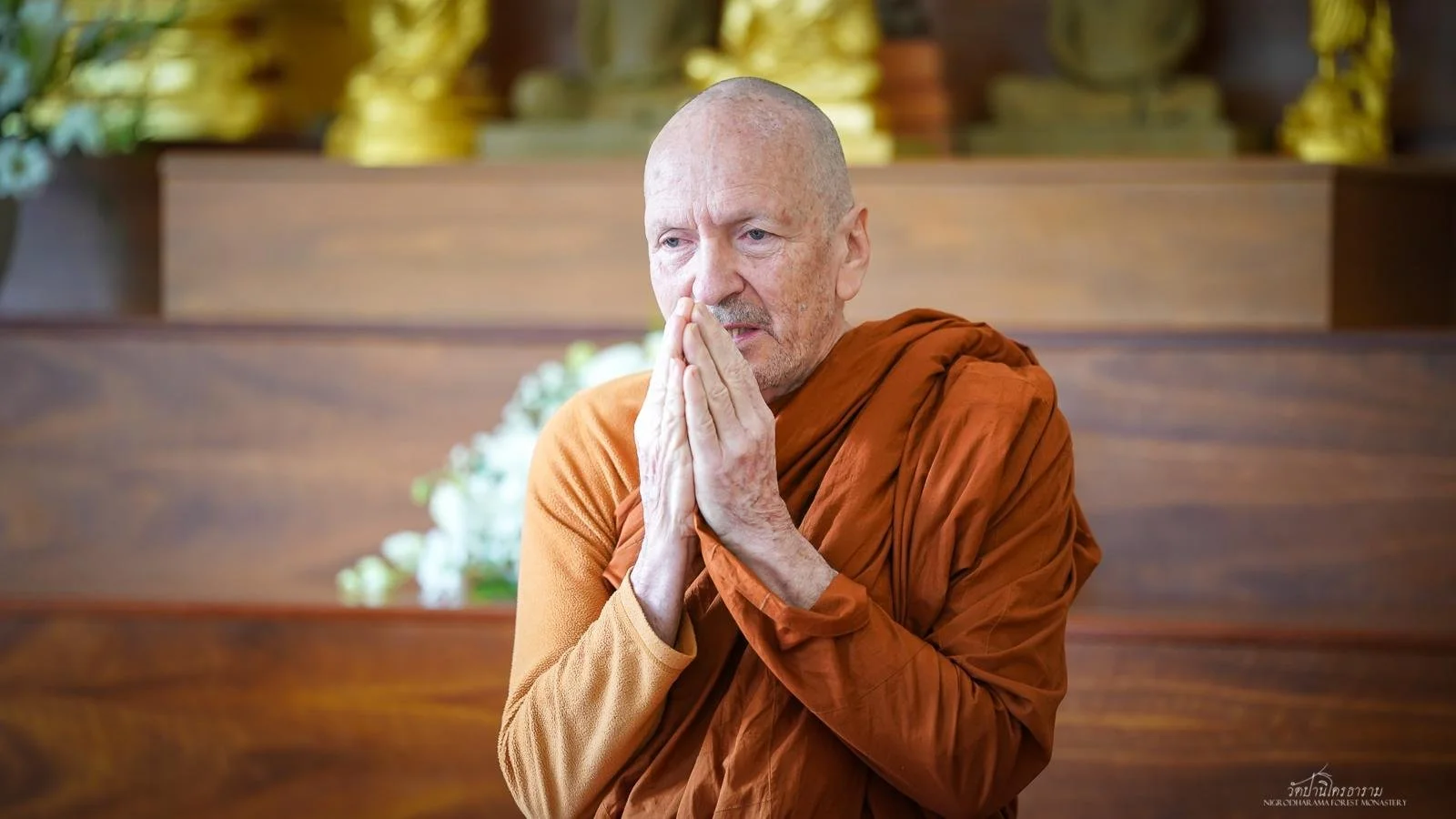 WhatsApp Image 2025-11-09 at 20.01.11.jpeg