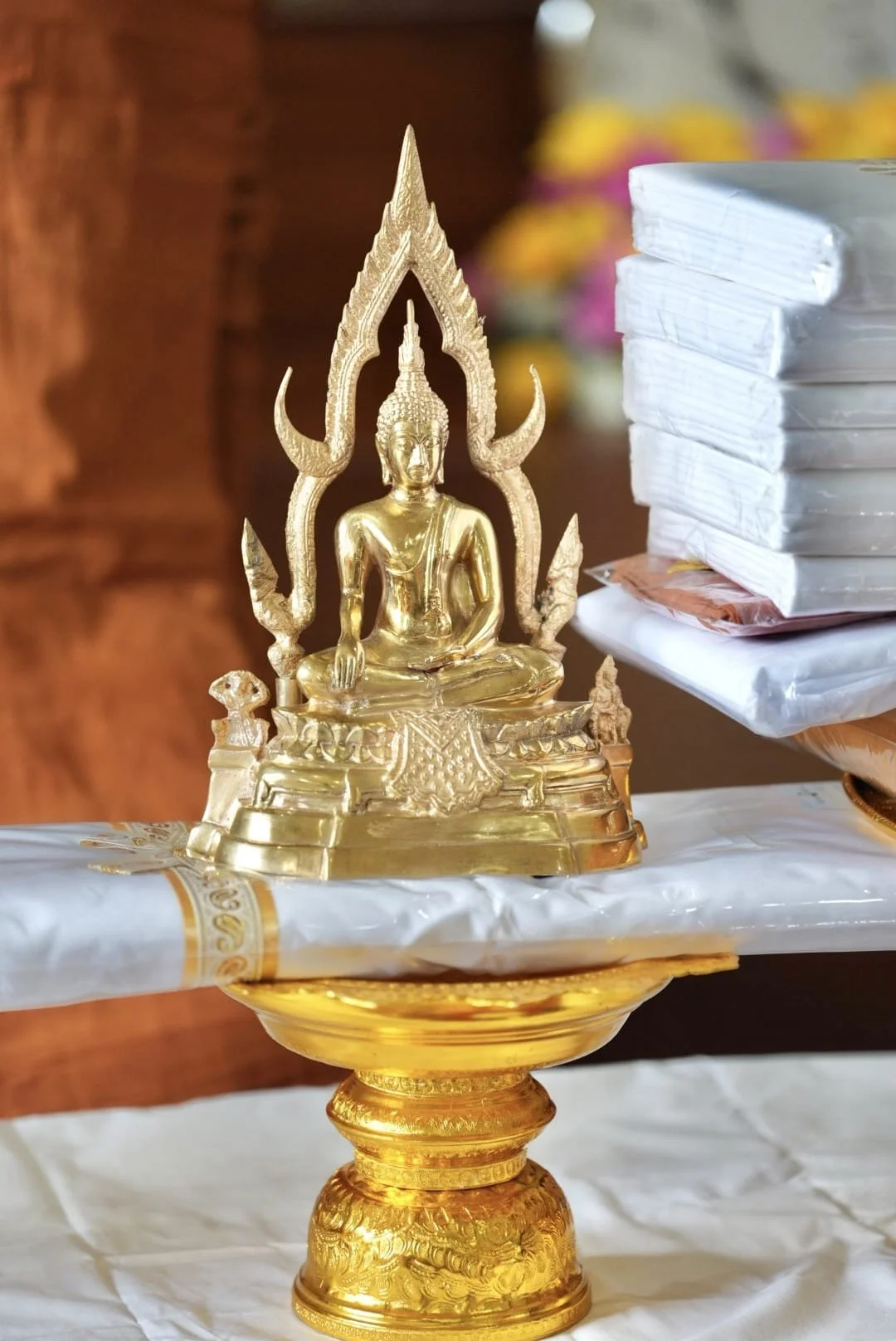 Tan Ajahn Dtun's Vist to Nigrodharama March-April 2026