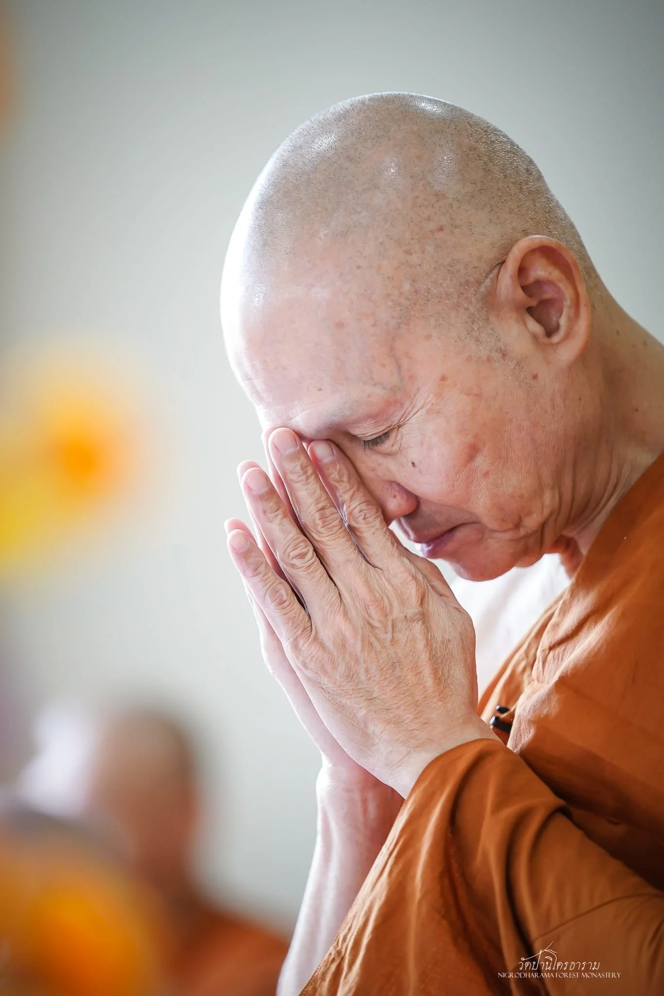 Tan Ajahn Dtun's Vist to Nigrodharama March-April 2026