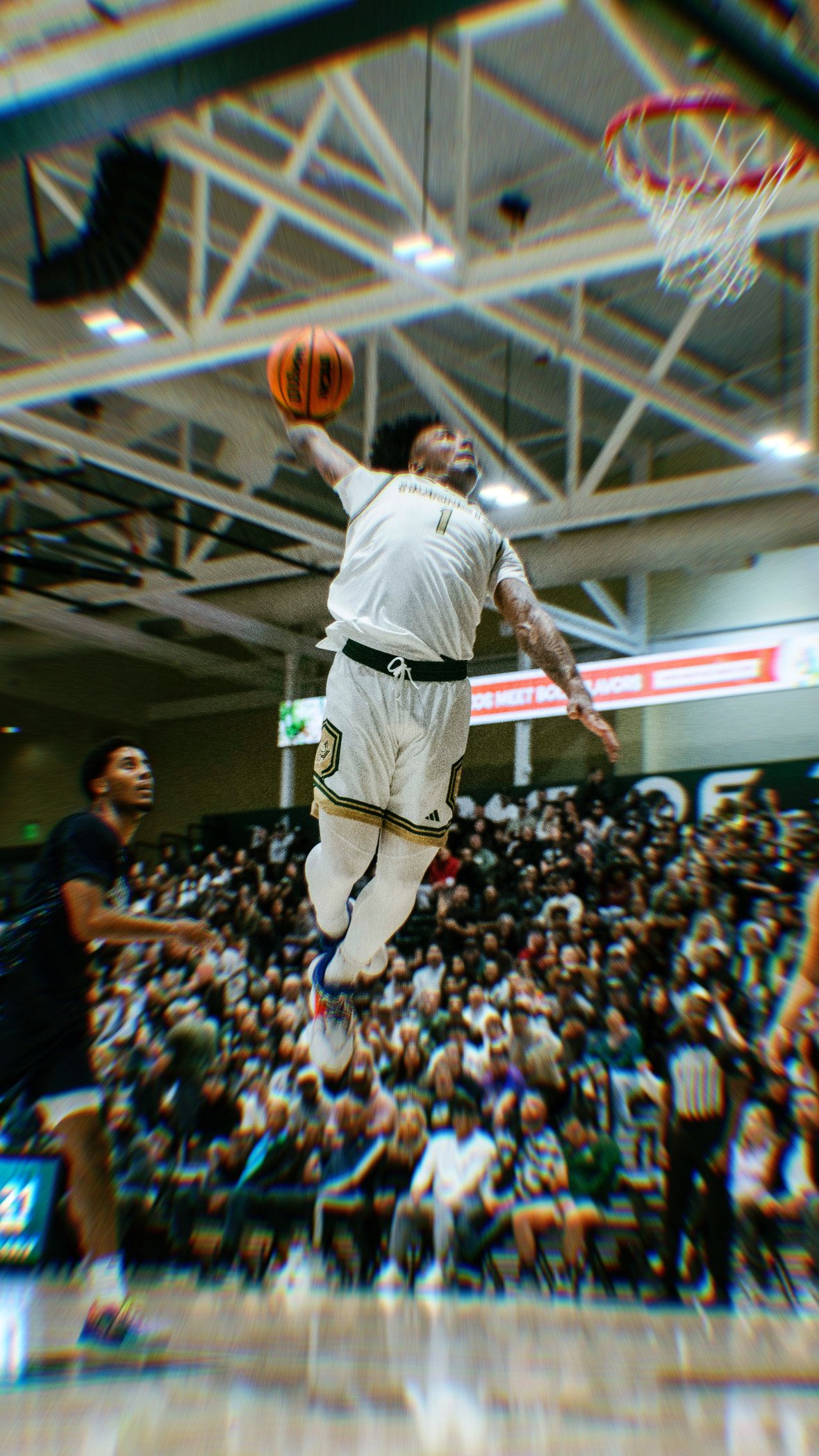 6E5507CB-C71A-4499-877F-1A75342D9542 2.JPG