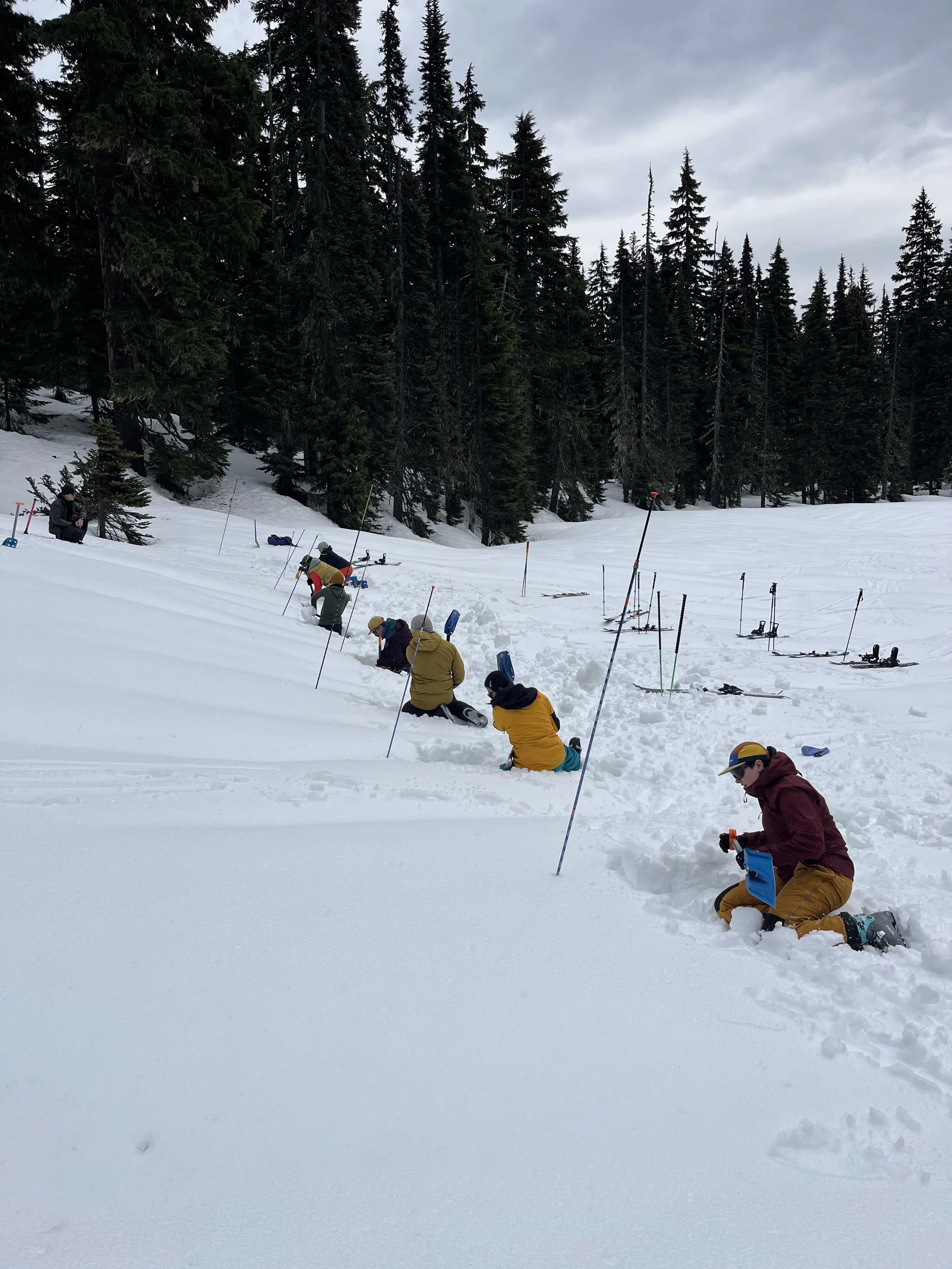AIARE Avalanche Rescue Course