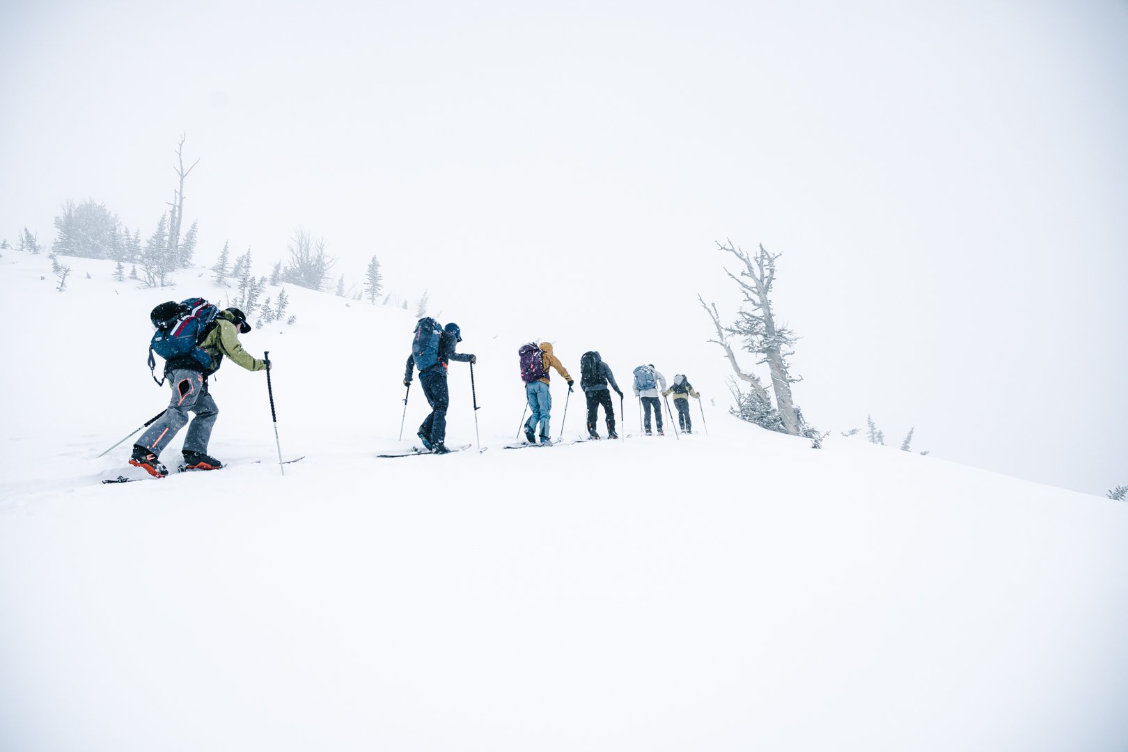 Folkrm Ski Camp - Wing Ridge | Discover Backcountry Skiing — Book Now ...