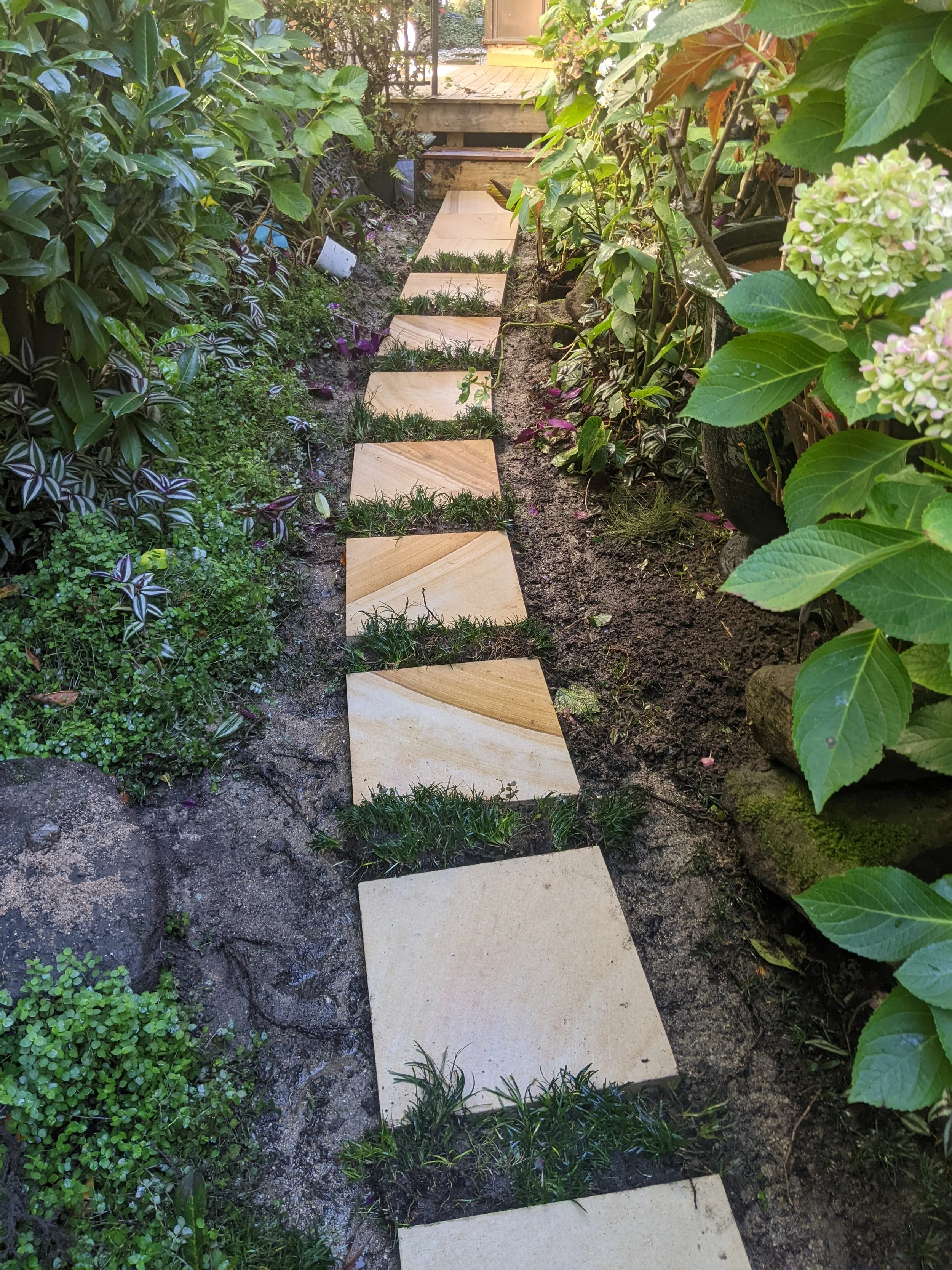 Stone pathway in garden surrounded by plants