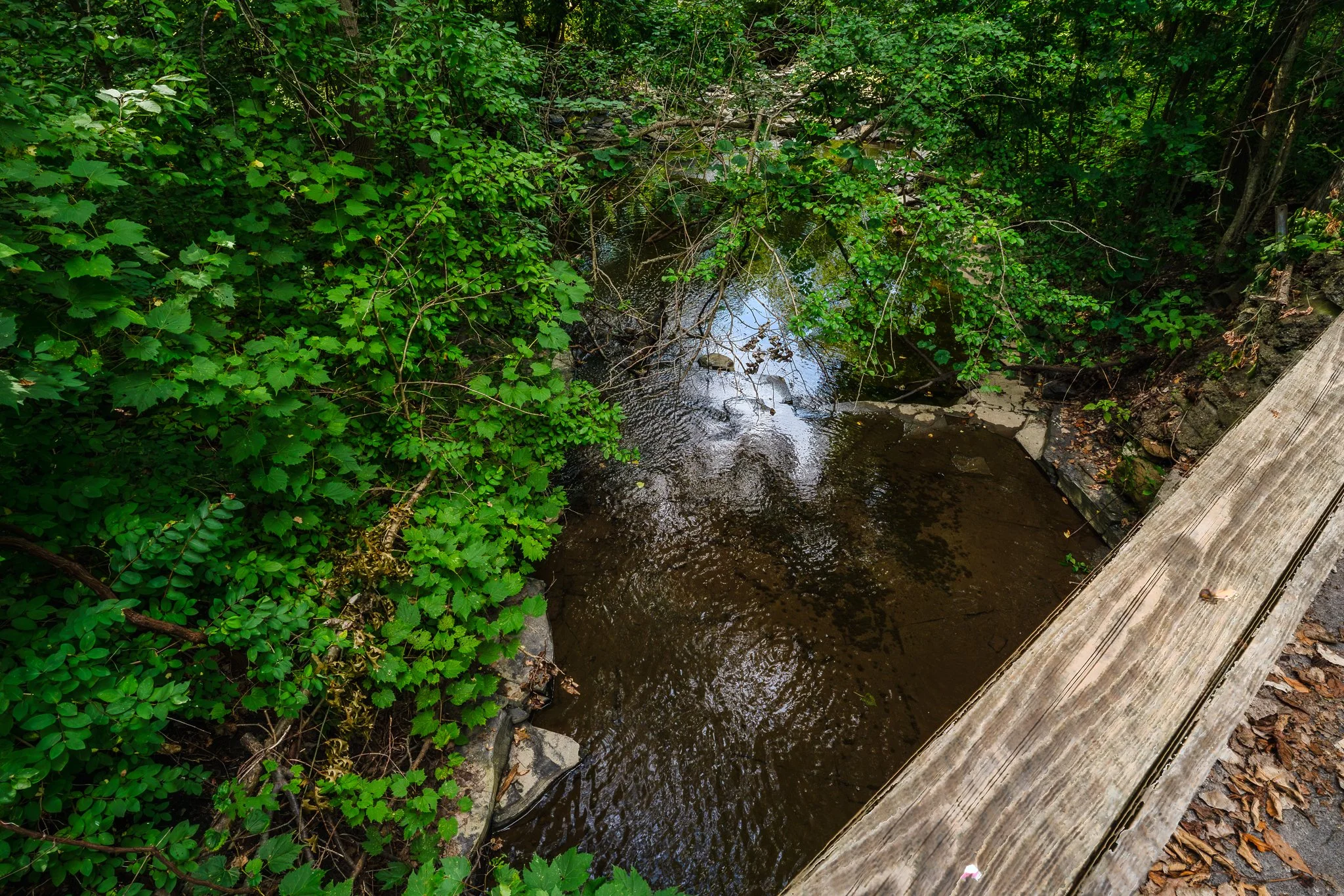 DSC08794-HDR.jpg
