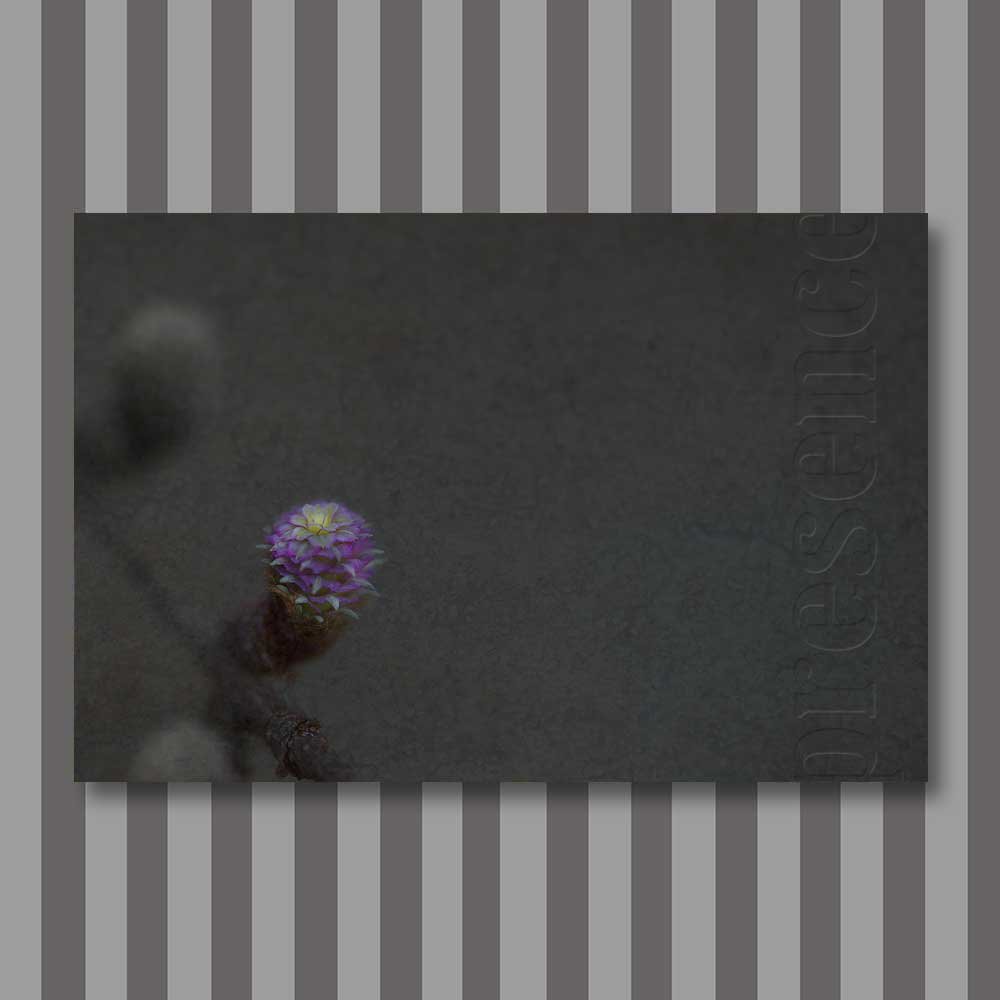Titel: Präsenz 01 (Leinwand)