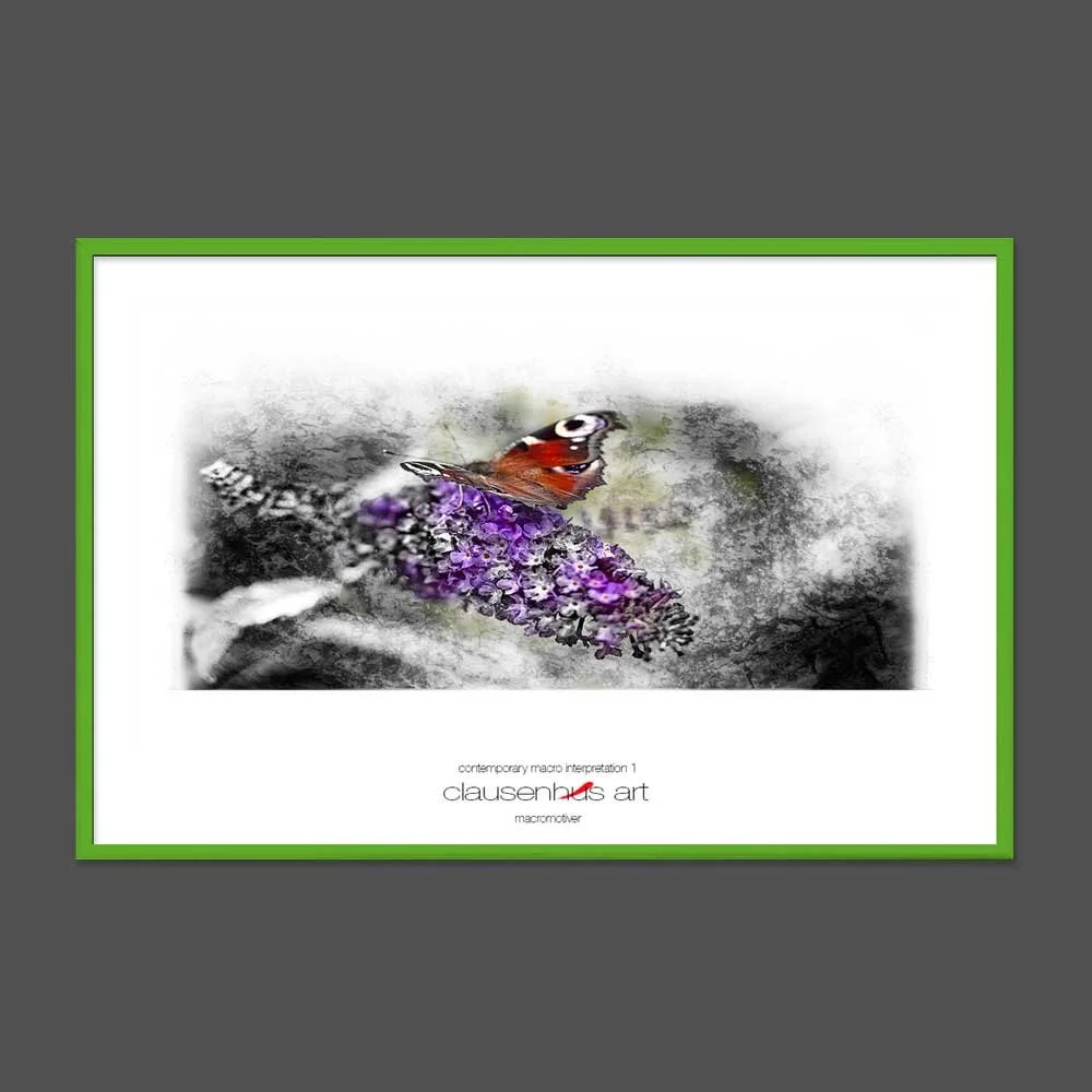 contemporary-macro-interpretation-1-copy.jpg
