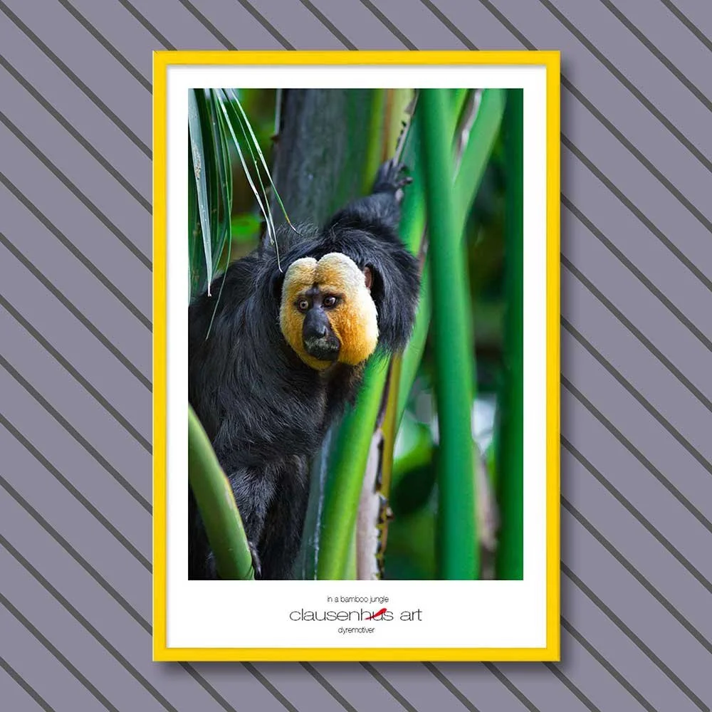 in-a-bamboo-jungle-copy.jpg