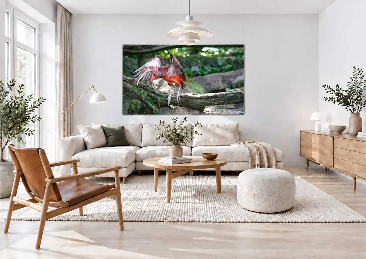 Scandinavian-Living-Room-with-Ibis-Art.jpg