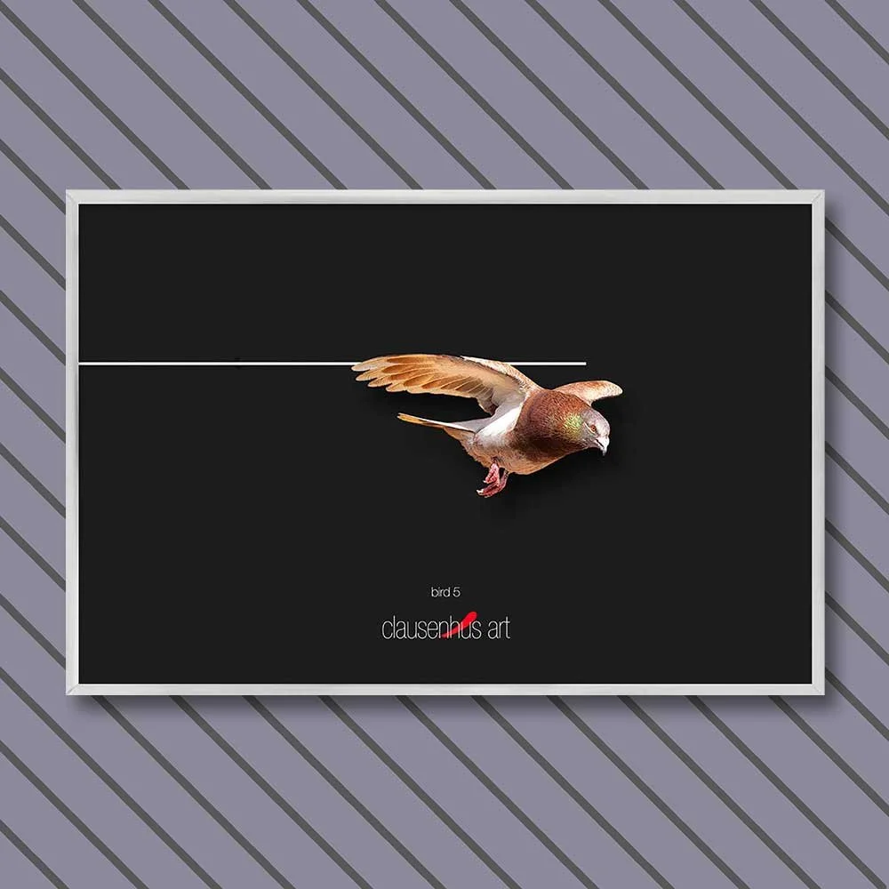 bird-5-copy.jpg