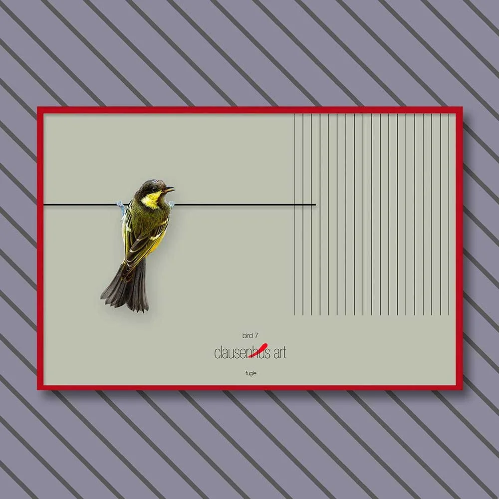bird-7-copy.jpg