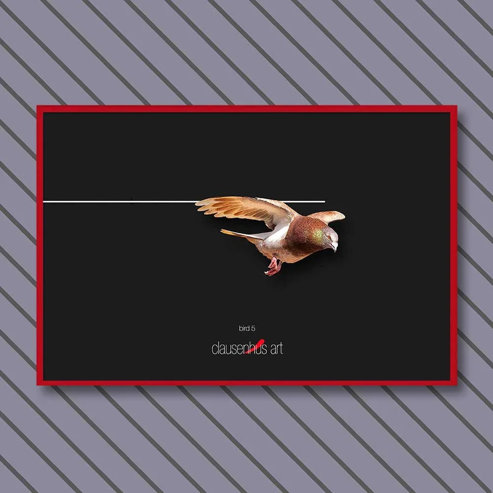 bird-5-copy.jpg