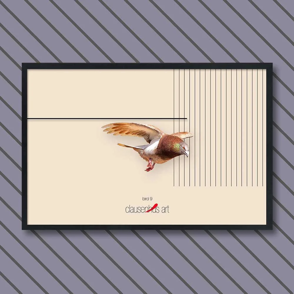 bird-9.jpg