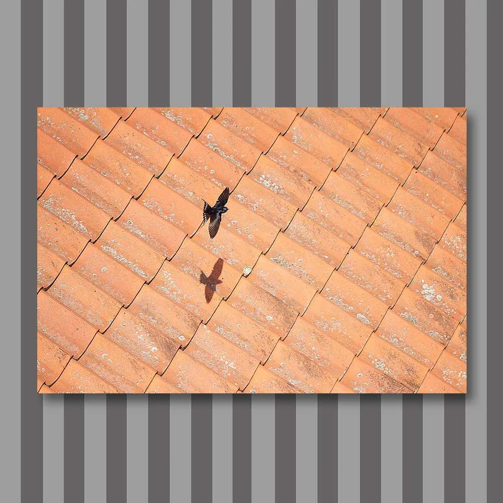 Titel: Über den Dächern (Leinwand)