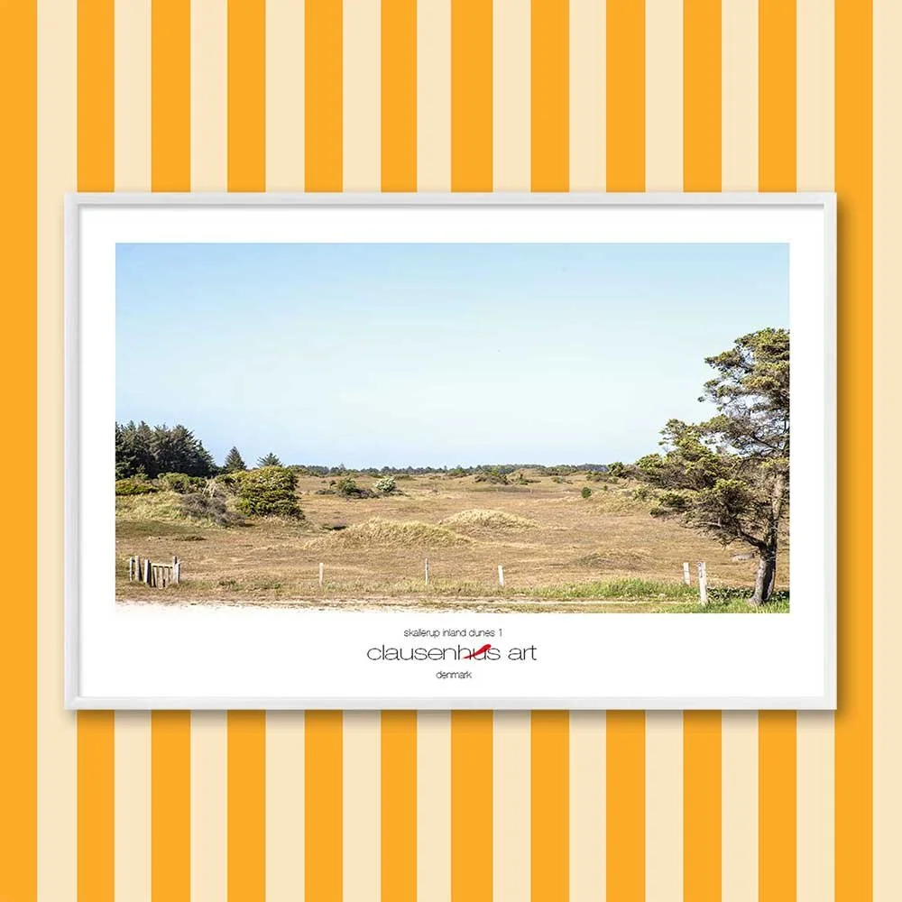 Titel: Skallerup Binnendünen 1 (grafische Linie)
