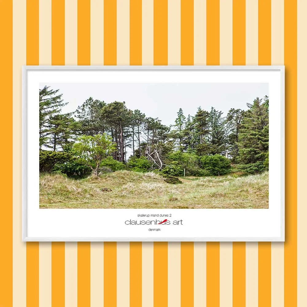 Titel: Skallerup Binnendünen 2 (grafische Linie)