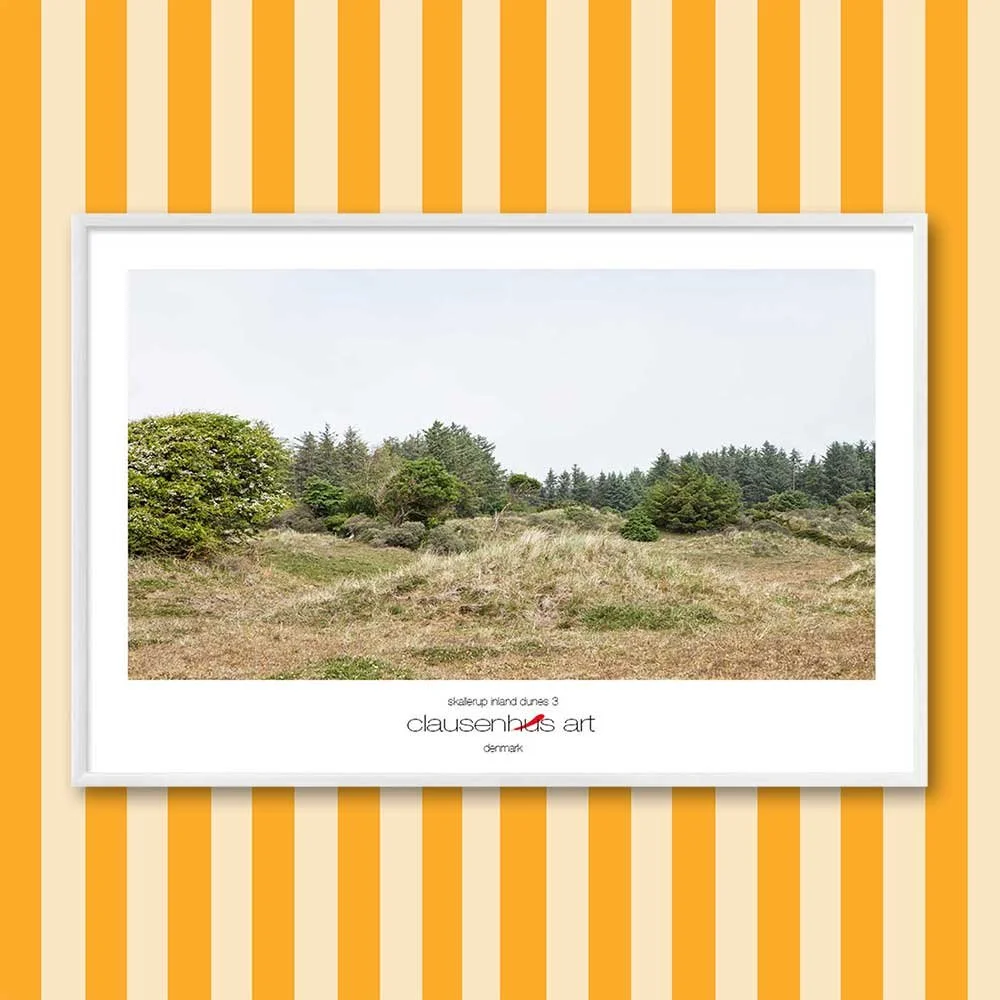 Titel: Skallerup Binnendünen 3 (grafische Linie)