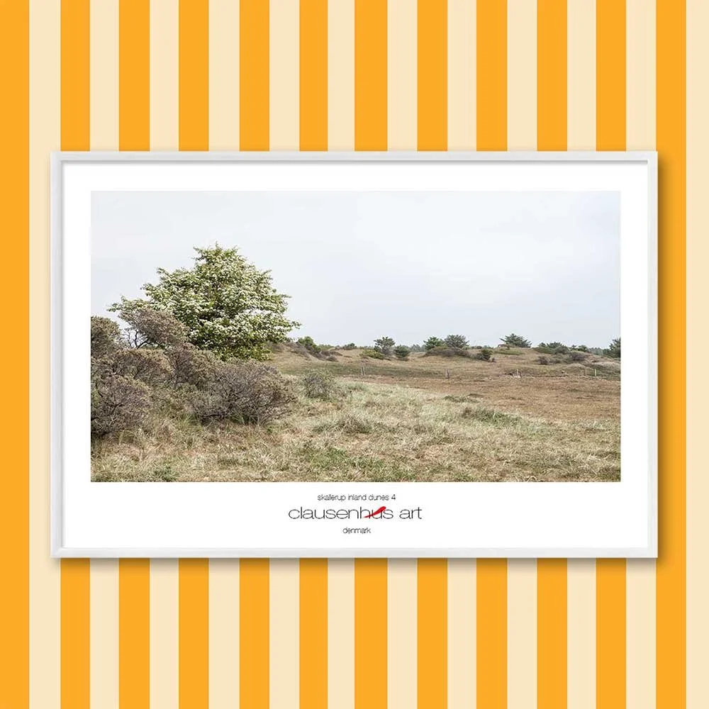 Titel: Skallerup Binnendünen 4 (grafische Linie)