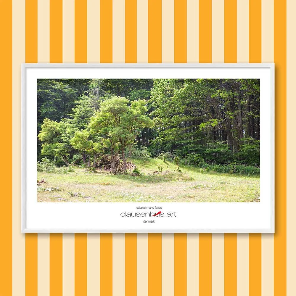 Titel: Die vielen Gesichter der Natur (grafische Linie)