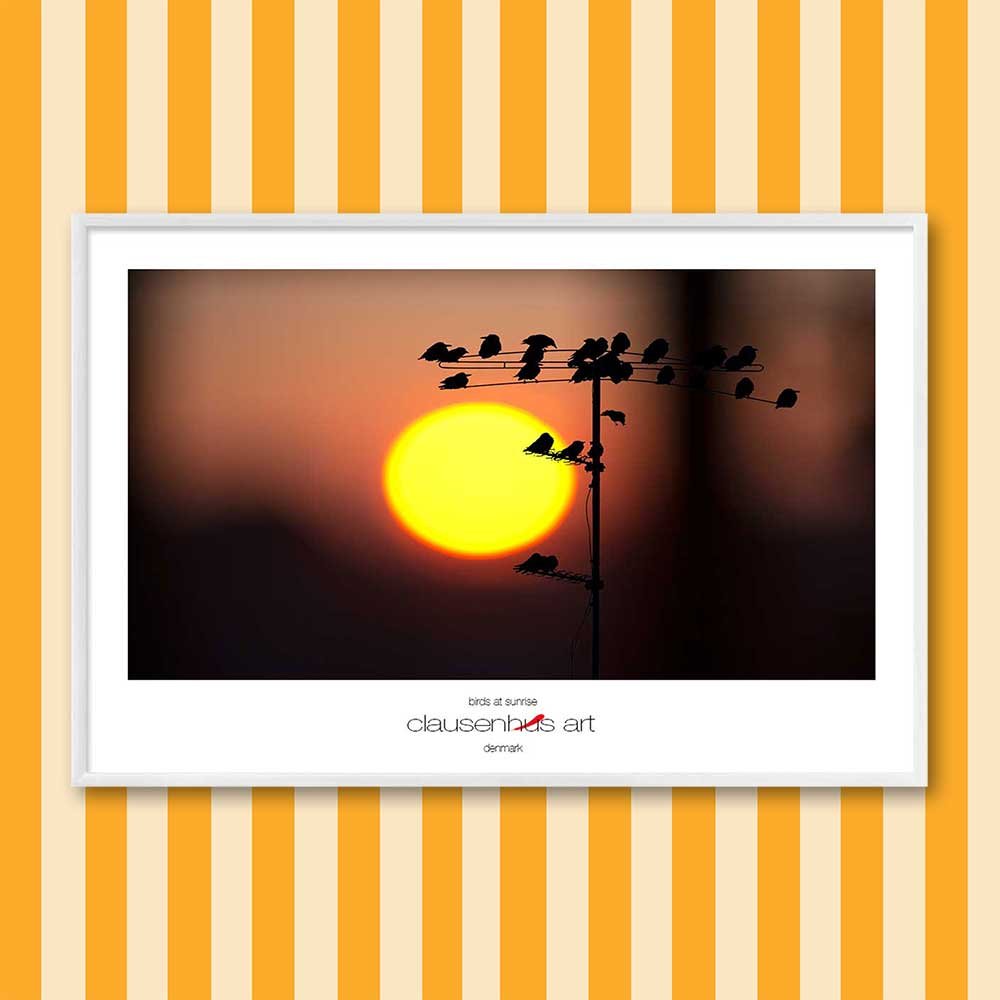 Titel: Vögel bei Sonnenaufgang (grafische Linie)